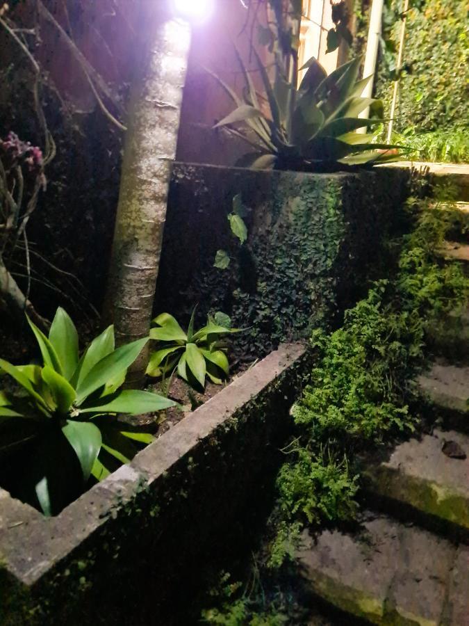 Villa Violeta Petrópolis Dış mekan fotoğraf