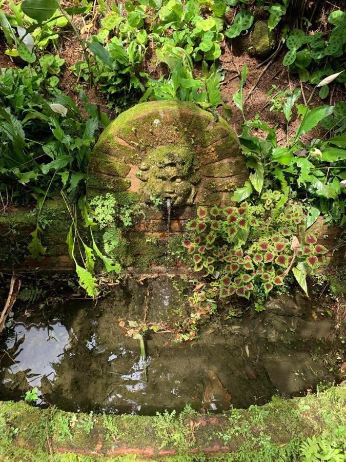 Villa Violeta Petrópolis Dış mekan fotoğraf
