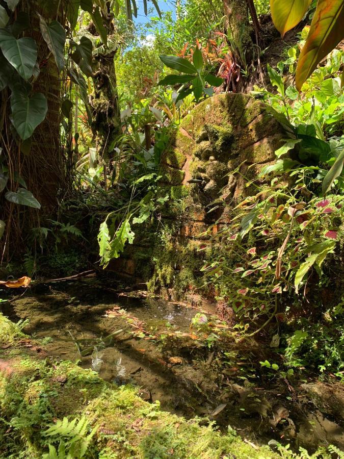 Villa Violeta Petrópolis Dış mekan fotoğraf