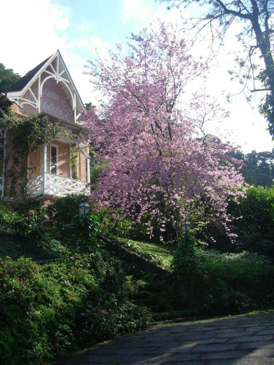 Villa Violeta Petrópolis Dış mekan fotoğraf