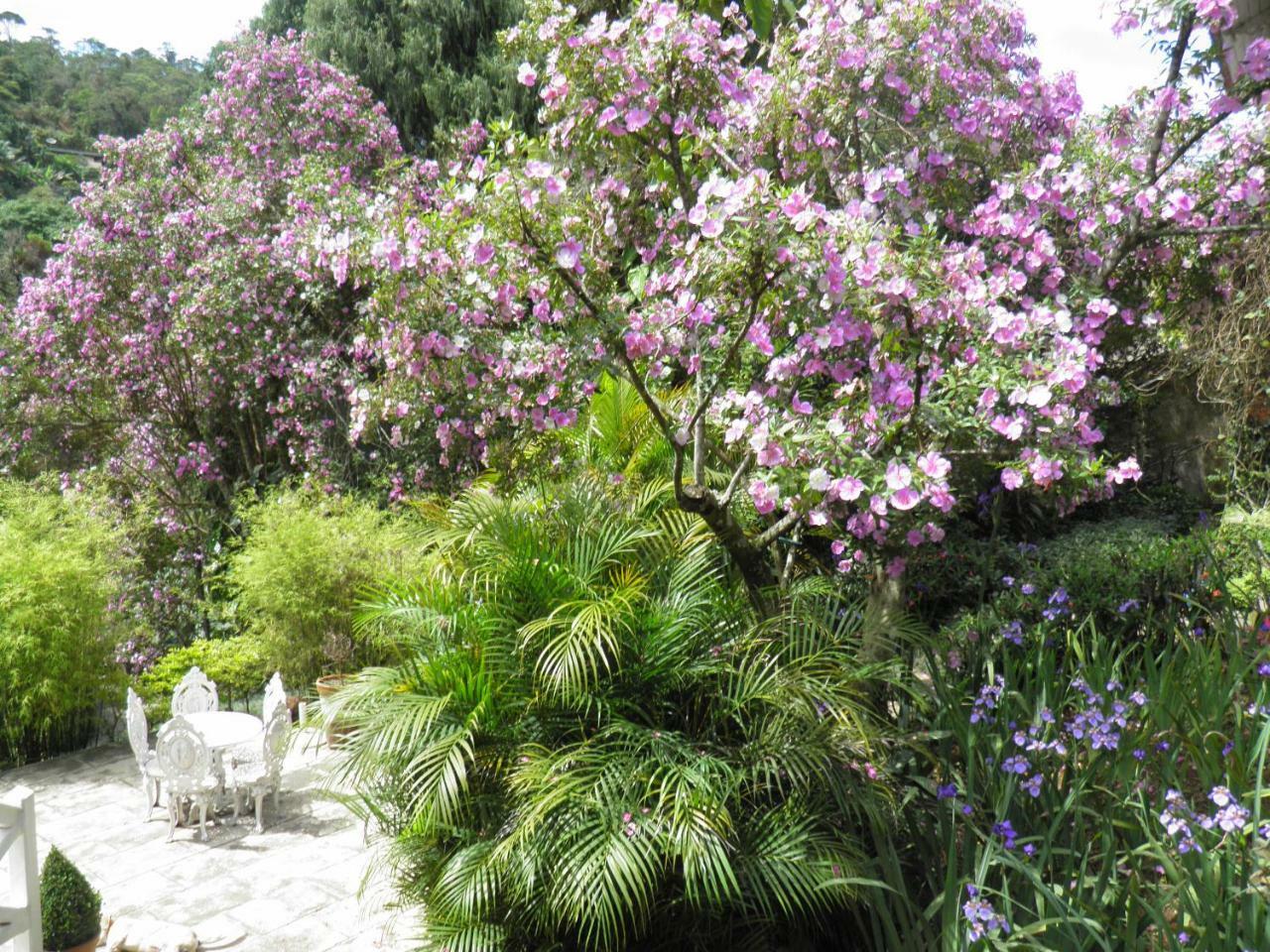 Villa Violeta Petrópolis Dış mekan fotoğraf