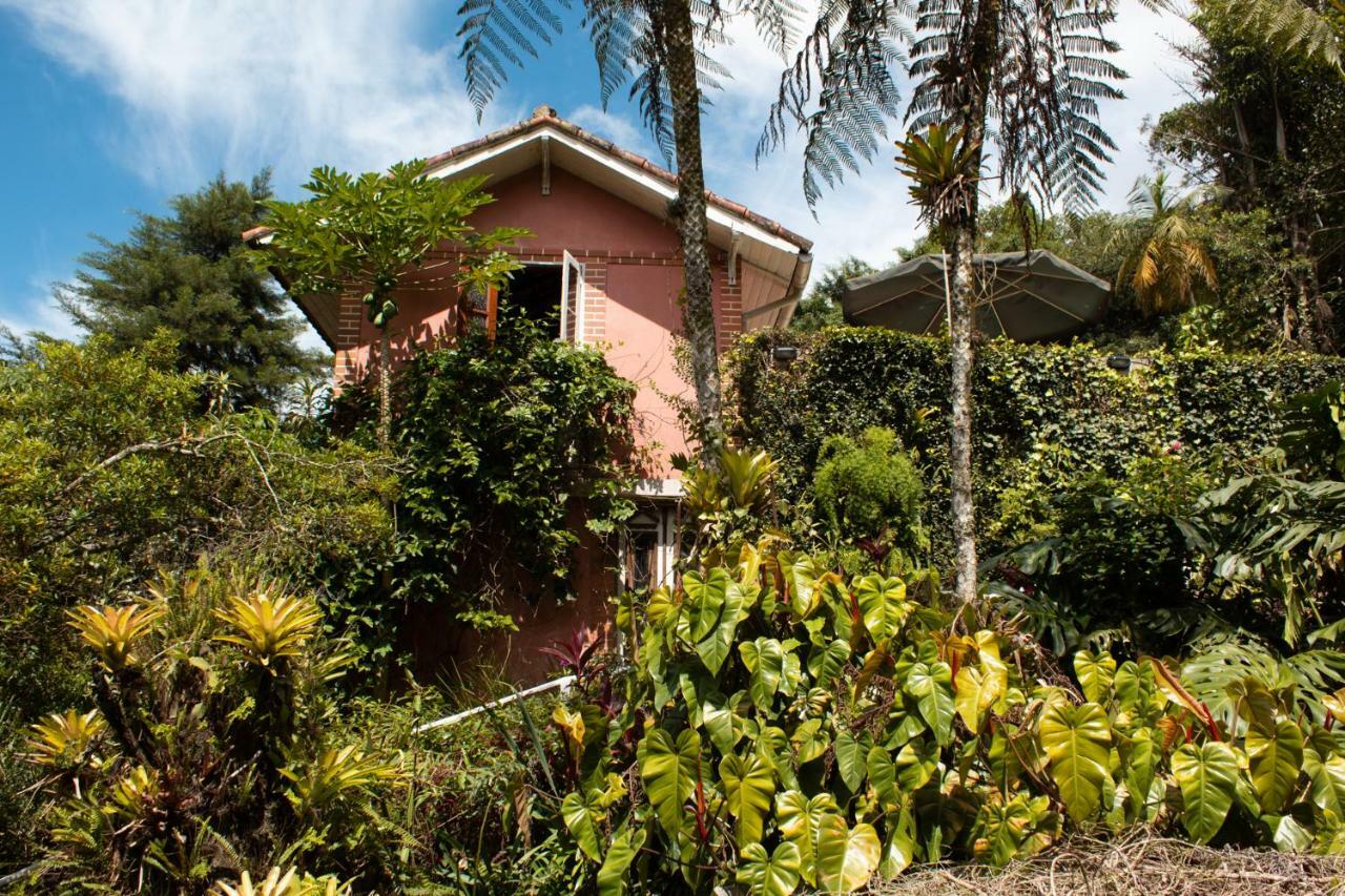 Villa Violeta Petrópolis Dış mekan fotoğraf